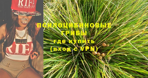 spice Сосновка