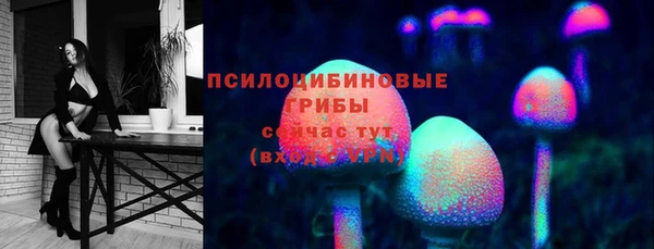 МДПВ Сосновый Бор