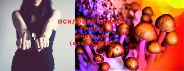 spice Сосновка