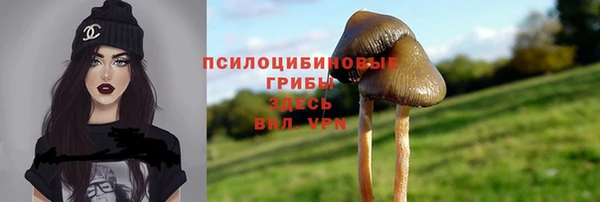 МДПВ Сосновый Бор