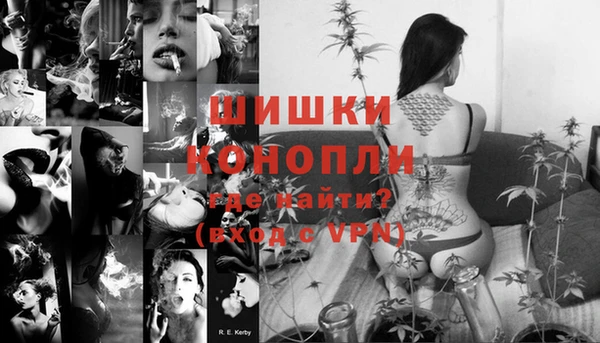 spice Сосновка