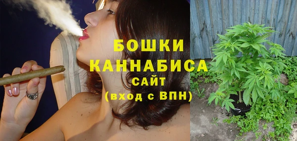 МДПВ Сосновый Бор