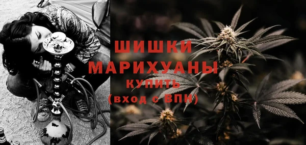МДПВ Сосновый Бор