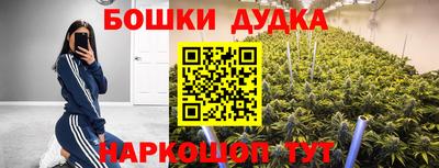 стафф Апшеронск