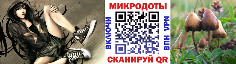 Купить закладки  Переславль-Залесский  Псилоцибиновые грибы Psilocybe 