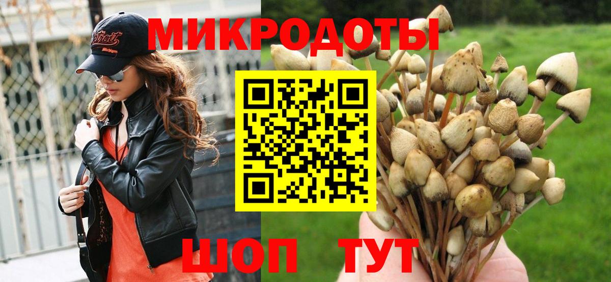 Галлюциногенные грибы Cubensis Переславль-Залесский
