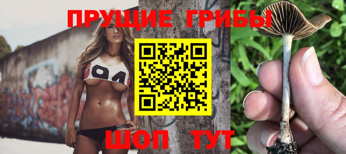 Галлюциногенные грибы GOLDEN TEACHER  цена наркотик  Переславль-Залесский 