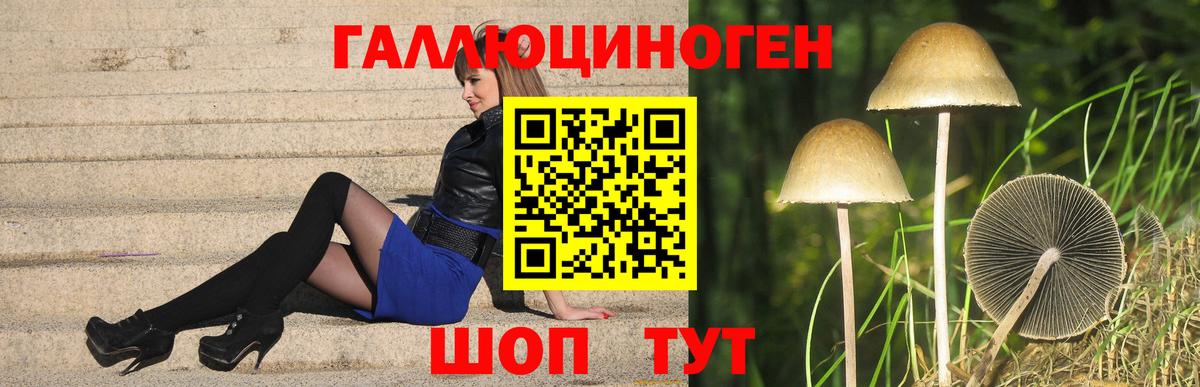 Галлюциногенные грибы Psilocybine cubensis Переславль-Залесский