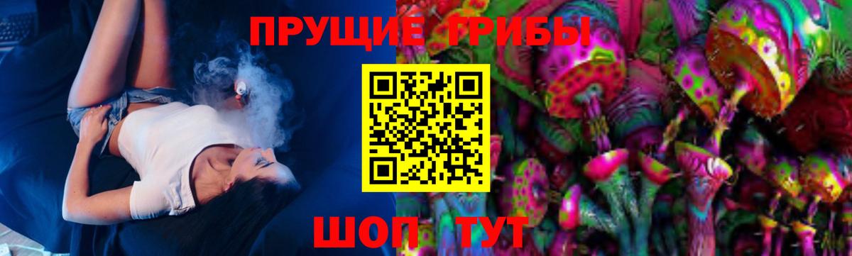Переславль-Залесский  Галлюциногенные грибы мицелий  Вход с VPN 