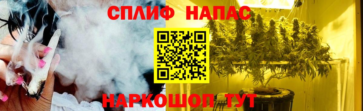 Шишки марихуана MAZAR Переславль-Залесский